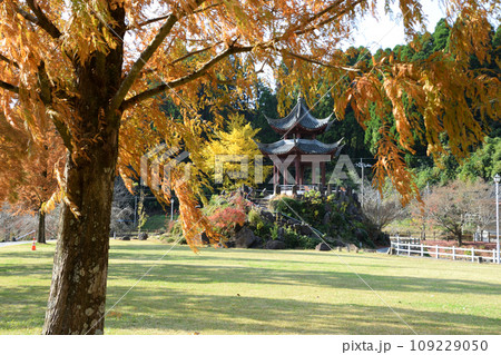 冠岳花川砂防公園の紅葉 冠岳花川砂防公園の紅葉 109229050