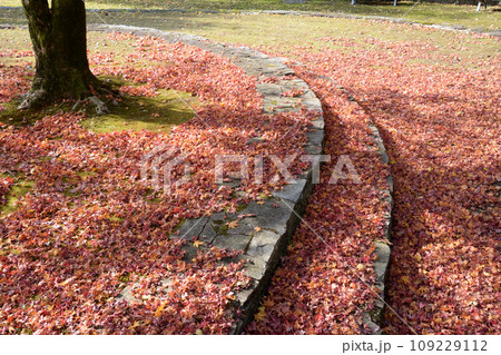 冠嶽園の紅葉 109229112