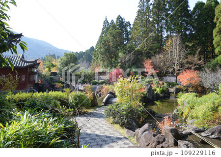 冠嶽園の紅葉 冠嶽園の紅葉 109229116