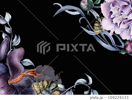 Watercolor board of purple pink lily flowers isolated on black. Gothic floral peony foliage Illustration hand drawn. Gothic Wedding Decoration in vintage style. Element for invitation, package 109229133