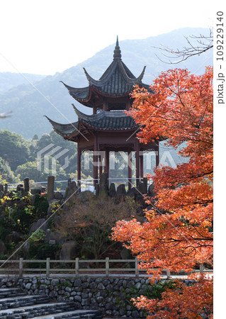 冠岳花川砂防公園の紅葉 109229140