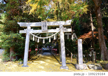 冠嶽神社の紅葉 冠嶽神社の紅葉 109229164