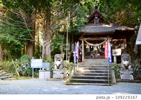 冠嶽神社の紅葉 冠嶽神社の紅葉 109229167