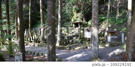 冠嶽神社の紅葉 冠嶽神社の紅葉 109229192