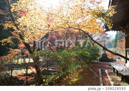 冠嶽神社の紅葉 109229193