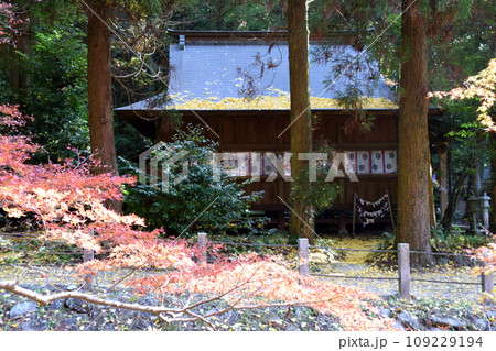 冠嶽神社の紅葉 109229194