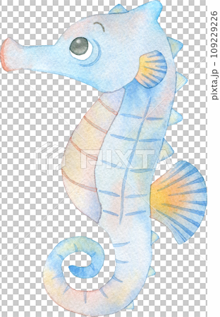 色彩繽紛的海馬水彩插圖 109229226