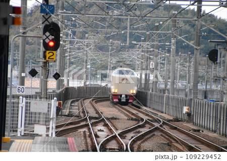 香川県坂出駅に入線する寝台特急「サンライズ瀬戸号(285系)」 香川県坂出駅に入線する寝台特急「サンライズ瀬戸号(285系)」 109229452