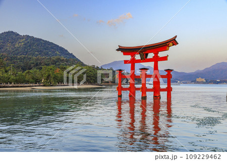 紅葉見頃な宮島紅葉谷公園と厳島神社 紅葉見頃な宮島紅葉谷公園と厳島神社 109229462