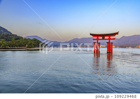 紅葉見頃な宮島紅葉谷公園と厳島神社 109229468