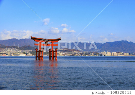 紅葉見頃な宮島紅葉谷公園と厳島神社 紅葉見頃な宮島紅葉谷公園と厳島神社 109229513