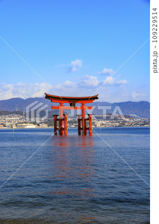 紅葉見頃な宮島紅葉谷公園と厳島神社 紅葉見頃な宮島紅葉谷公園と厳島神社 109229514