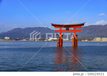 紅葉見頃な宮島紅葉谷公園と厳島神社 紅葉見頃な宮島紅葉谷公園と厳島神社 109229521