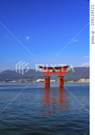 紅葉見頃な宮島紅葉谷公園と厳島神社 紅葉見頃な宮島紅葉谷公園と厳島神社 109229522