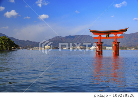 紅葉見頃な宮島紅葉谷公園と厳島神社 紅葉見頃な宮島紅葉谷公園と厳島神社 109229526