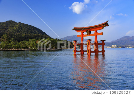 紅葉見頃な宮島紅葉谷公園と厳島神社 109229527