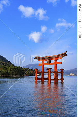 紅葉見頃な宮島紅葉谷公園と厳島神社 109229528