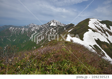 大水上山から見る残雪の兎岳と越後三山 大水上山から見る残雪の兎岳と越後三山 109230523