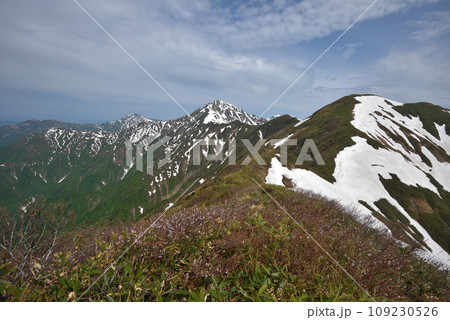 大水上山から見る残雪の兎岳と越後三山 大水上山から見る残雪の兎岳と越後三山 109230526
