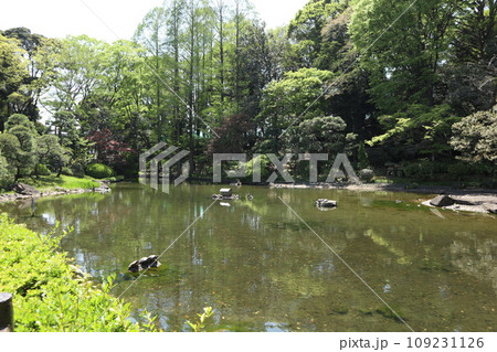 戸越公園 戸越公園 109231126