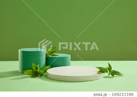 Front view of spearmint leaves decorated with empty podiums on green background. Minimal scene with copy space for cosmetics, business branding and product presentation 109231390