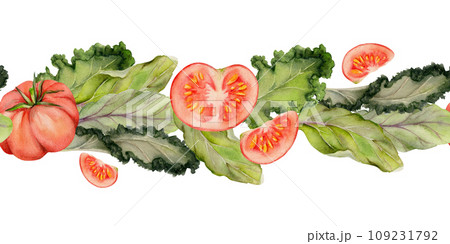 Hand drawn watercolor vegetables and green salad mix for diet, healthy lifestyle, vegan cooking. Illustration seamless border isolated on white background. Design poster, print, website, card, menu 109231792