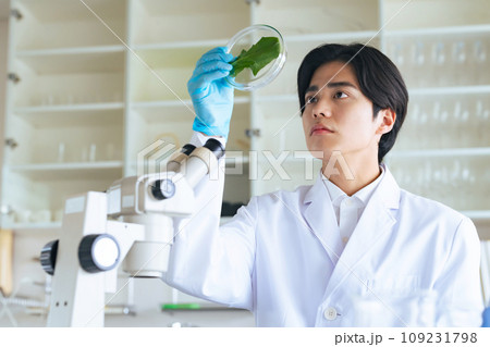 植物の葉を観察する科学者 植物の葉を観察する科学者 109231798
