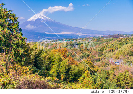 （静岡県）箱根西麓の紅葉とJR東海の貨物列車越しに富士山 109232798