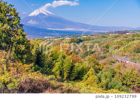 （静岡県）箱根西麓の紅葉とJR東海の貨物列車越しに富士山 109232799