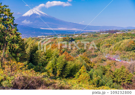 （静岡県）箱根西麓の紅葉とJR東海の貨物列車越しに富士山 109232800