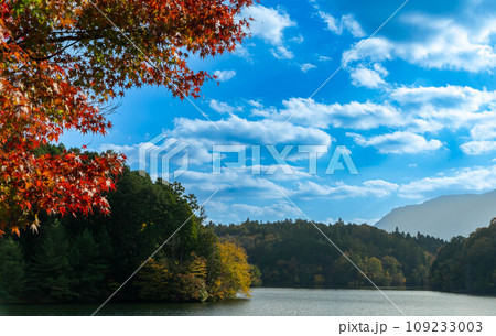 湖の紅葉 湖の紅葉 109233003