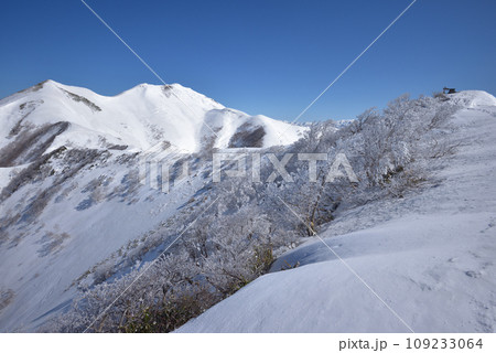 白毛門山頂付近から見た樹氷と笠ヶ岳、烏帽子岳へ続く雪の尾根 109233064