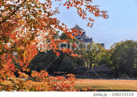 紅葉見頃な岡山後楽園と改修後の岡山城 紅葉見頃な岡山後楽園と改修後の岡山城 109233319