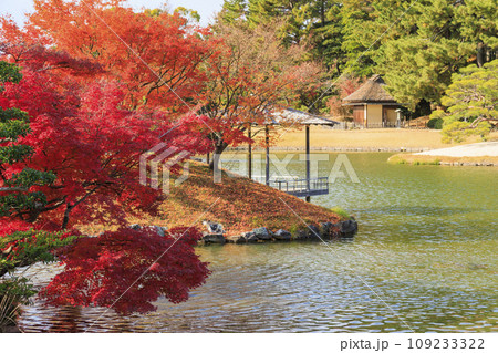 紅葉見頃な岡山後楽園と改修後の岡山城 109233322