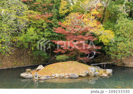 紅葉見頃な岡山後楽園と改修後の岡山城 109233330