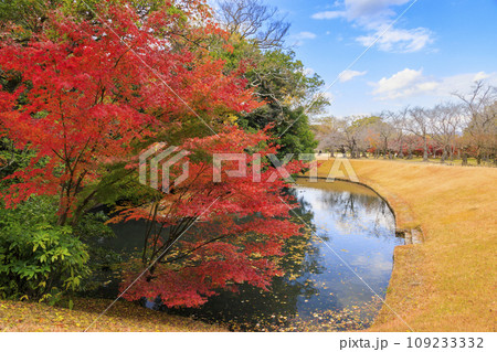 紅葉見頃な岡山後楽園と改修後の岡山城 109233332