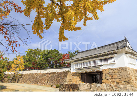 紅葉見頃な岡山後楽園と改修後の岡山城 109233344