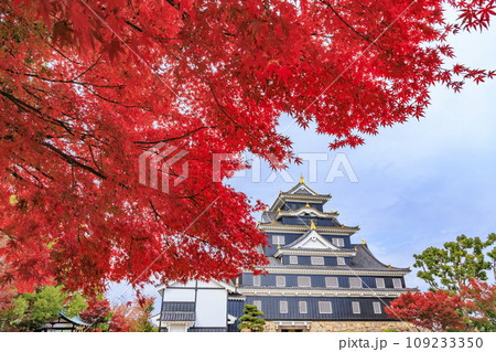紅葉見頃な岡山後楽園と改修後の岡山城 109233350