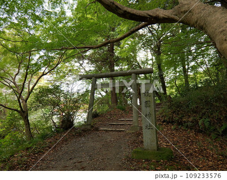 香取神宮 護国神社 要石への参道 香取神宮 護国神社 要石への参道 109233576