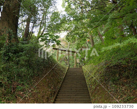 香取神宮　護国神社　要石への参道 109233730