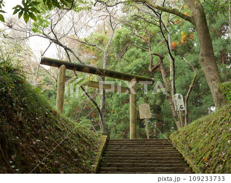 香取神宮 護国神社 要石への参道 香取神宮 護国神社 要石への参道 109233733