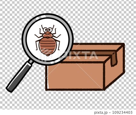 臭蟲藏在紙箱裡 臭蟲藏在紙箱裡 109234403