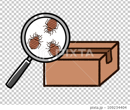 臭蟲藏在紙箱裡 109234404