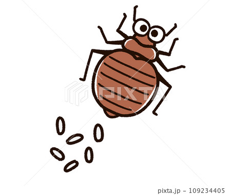 産卵したトコジラミ 産卵したトコジラミ 109234405