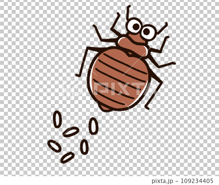 産卵したトコジラミ 産卵したトコジラミ 109234405