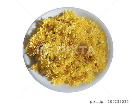 食用菊 食用菊 109235056
