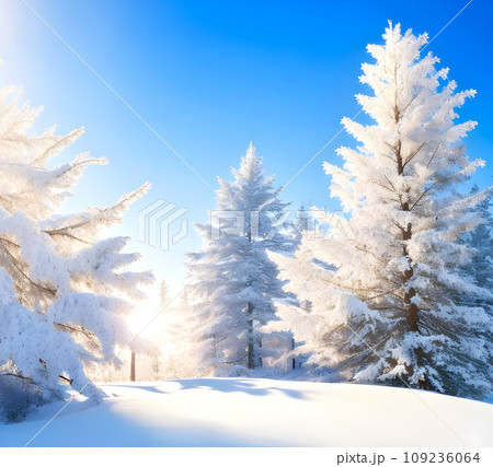 Winter bright background with snowy coniferous in the sun 109236064