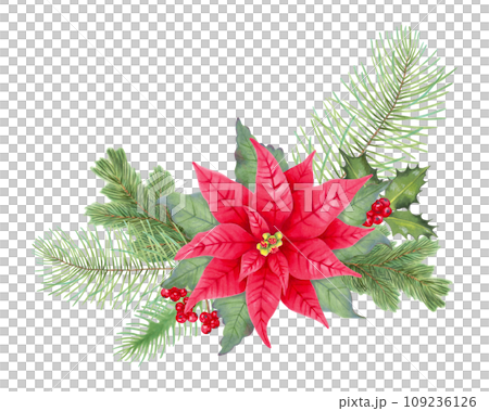 Christmas bouquet with poinsettia flower, holly berries, pine, spruce.Floral clipart composition for greeting cards, New Year design.Marker in watercolor style illustration.Handmade isolated art. 109236126