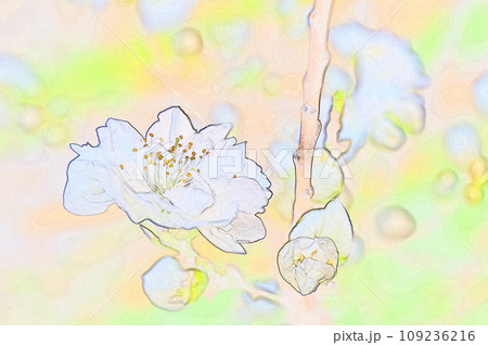 観賞用八重の花桃イラスト 109236216