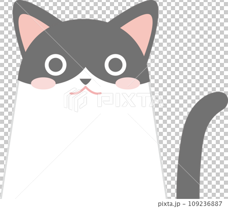 白黒ハチワレ猫_猫のイラスト_ニャンコ_ハチワレ白黒猫 109236887